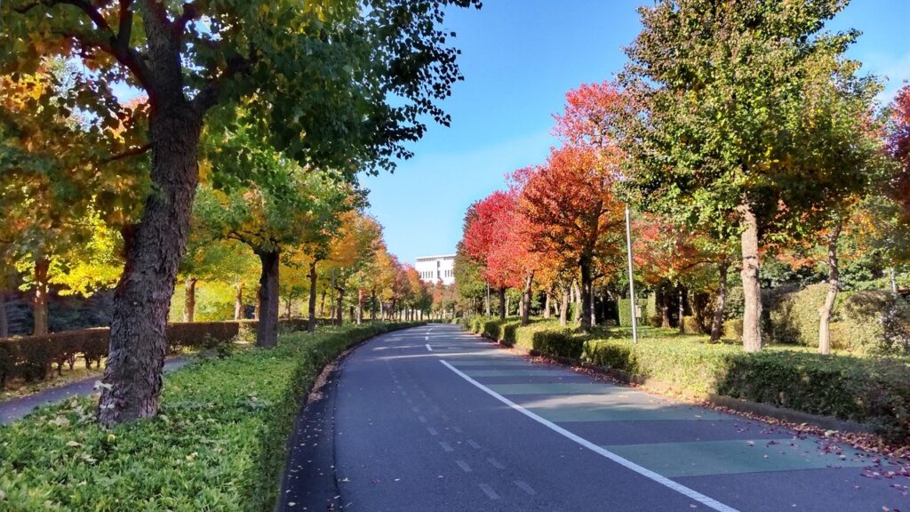 総ゼネラリスト社会は、もう終わりにしませんか【清水唯一朗】